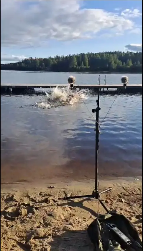 A stereo microphone on a beach as someone splashes into a lake